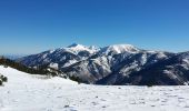 Tour Schneeschuhwandern Py - Col de Mantet par le pla de Segola - Photo 2