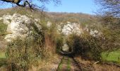 Trail Walking Dinant - Balade sur les rives et les crêtes de Haute-Meuse - Photo 1