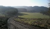 Trail Walking La Roche-en-Ardenne - Maboge - N2. Losange jaune Bois du champs Thomas - Photo 3