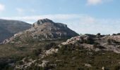 Trail Walking Marseille - Gardiole, Vallon de Chalabran, Falaises de Luminy, Cap Gros, Vallon de la Fenêtre - Photo 2