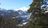 Tour Schneeschuhwandern Les Vigneaux - Clot de la Siva - Photo 4