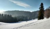 Trail Walking Ventron - Chaume des Vintergés et Haut de Felsach - Photo 2