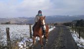 Trail Equestrian Hamoir - balade tranquille littlecreek - Photo 2