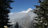 Tour Wandern Chamonix-Mont-Blanc - CHAMONIX(Les Tines) - Photo 6