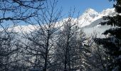 Percorso Marcia Chamonix-Mont-Blanc - CHAMONIX(Les Tines) - Photo 4