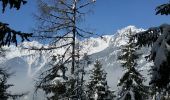 Randonnée Marche Chamonix-Mont-Blanc - CHAMONIX(Les Tines) - Photo 3