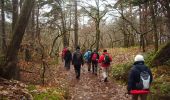 Trail Walking Dormelles - Manu-150221 - Dormelles - Photo 12