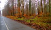 Trail Walking Longpont - en forêt de Retz_30_Longpont_carrefour de Vauvaudran_AR - Photo 20