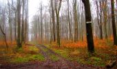 Trail Walking Longpont - en forêt de Retz_30_Longpont_carrefour de Vauvaudran_AR - Photo 19