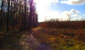 Trail Walking Longpont - en forêt de Retz_31_Longpont_carrefour de la Pointe Chemise_AR - Photo 12