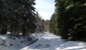 Trail Snowshoes Les Noës - la loge aux gardes - Photo 5