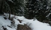 Randonnée Raquettes à neige Les Noës - la loge aux gardes - Photo 3