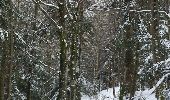 Randonnée Raquettes à neige Les Noës - la loge aux gardes - Photo 2