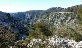 Trail Walking Toulon - Tour Baou - Photo 6