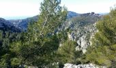 Trail Walking Toulon - Tour Baou - Photo 4