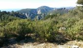 Trail Walking Toulon - Tour Baou - Photo 3
