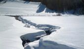 Randonnée Raquettes à neige Nanchez - Prénovel - Les Piards - Photo 4