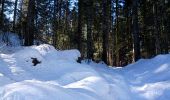 Trail Snowshoes Nanchez - Prénovel - Les Piards - Photo 2