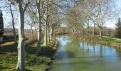 Trail Walking Castanet-Tolosan - boucle Castanet Mervilla Gr653 Donneville canal - Photo 2