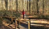 Tour Wandern Uccle - Ukkel - Forêt de Soignes: entre source laineuse et Vuylbeek - Photo 6