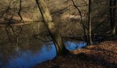 Trail Walking Uccle - Ukkel - Forêt de Soignes: entre source laineuse et Vuylbeek - Photo 4