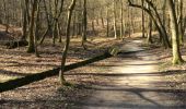 Tour Wandern Uccle - Ukkel - Forêt de Soignes: entre source laineuse et Vuylbeek - Photo 3