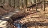 Tour Wandern Uccle - Ukkel - Forêt de Soignes: entre source laineuse et Vuylbeek - Photo 2