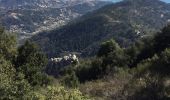 Trail Walking Roquebrune-Cap-Martin - mont Agel - Photo 4