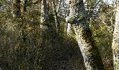 Excursión Senderismo Saignon - Grd Luberon, Sivergues - Photo 10