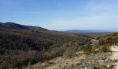 Excursión Senderismo Saignon - Grd Luberon, Sivergues - Photo 9