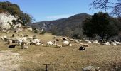 Excursión Senderismo Saignon - Grd Luberon, Sivergues - Photo 5