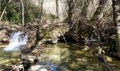 Excursión Senderismo Saignon - Grd Luberon, Sivergues - Photo 4