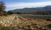 Tour Wandern Saignon - Grd Luberon, Sivergues - Photo 3