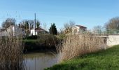 Randonnée Marche Saint-Agnant - Le long du canal de St Agnant à Echillais - Photo 2