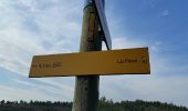 Tour Nordic Walking Allauch - Les Cotes Roties le Jas de Mimet   - Photo 1