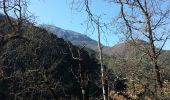 Trail Walking La Roque-en-Provence - Mont Gerbieres - Photo 2