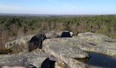 Tour Mountainbike Fontainebleau - Trail VTT à partir de Fontainebleau - Photo 2