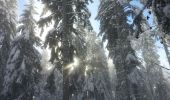 Tocht Sneeuwschoenen Autrans-Méaudre en Vercors - bec de l orient raquette - Photo 1