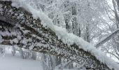 Excursión Raquetas de nieve Léoncel - échaillon chovet sausse gampalloux - Photo 6