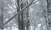 Tocht Sneeuwschoenen Léoncel - échaillon chovet sausse gampalloux - Photo 5