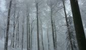 Excursión Raquetas de nieve Léoncel - échaillon chovet sausse gampalloux - Photo 4