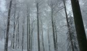 Tocht Sneeuwschoenen Léoncel - échaillon chovet sausse gampalloux - Photo 4