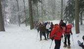 Tocht Sneeuwschoenen Léoncel - échaillon chovet sausse gampalloux - Photo 3