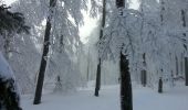 Excursión Raquetas de nieve Léoncel - échaillon chovet sausse gampalloux - Photo 2