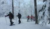 Tocht Sneeuwschoenen Léoncel - échaillon chovet sausse gampalloux - Photo 1