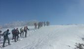 Tocht Sneeuwschoenen Léoncel - échaillon chovet sausse gampalloux - Photo 9