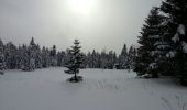 Tocht Sneeuwschoenen Bouvante - chaud clapier jjujufrey - Photo 1