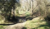 Tour Wandern Rochechouart - Biennac  vers le Chêne de Bramefan - Photo 2