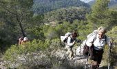 Trail Walking Cheval-Blanc - cheval blanc  13 - Photo 9