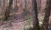 Trail Walking Domrémy-la-Pucelle - sur les pas de Jeanne d'Arc - Photo 1